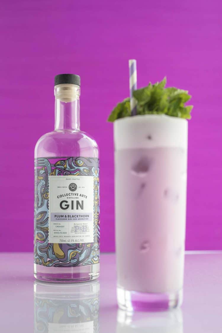 download gin made with blackthorn